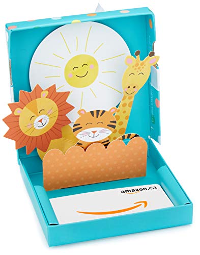 Amazon.ca Welcome Baby Gift Box